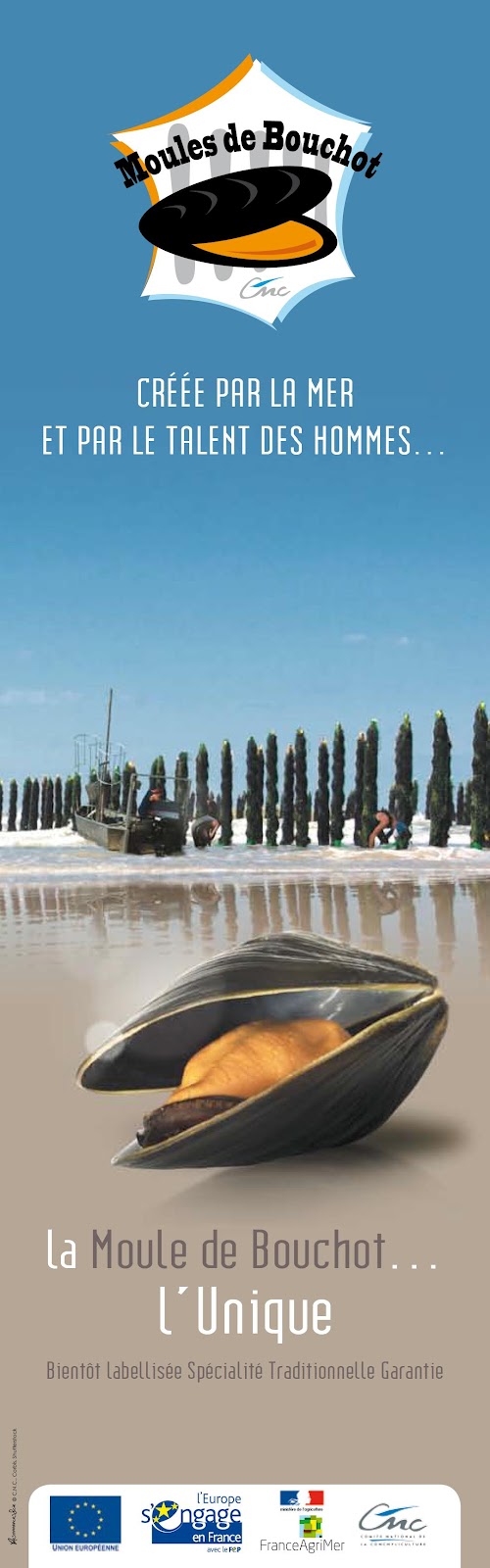 C'est la saison des moules de bouchot Café du Lac